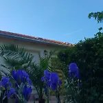 Lägenhet Fuered Deluxe Garden Balatonfüred