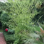 Fuered Deluxe Garden Balatonfüred