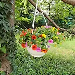 Fuered Deluxe Garden Lägenhet Balatonfüred