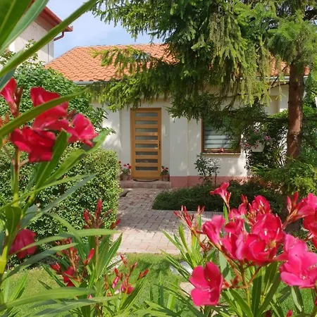 Fuered Deluxe Garden Διαμέρισμα *