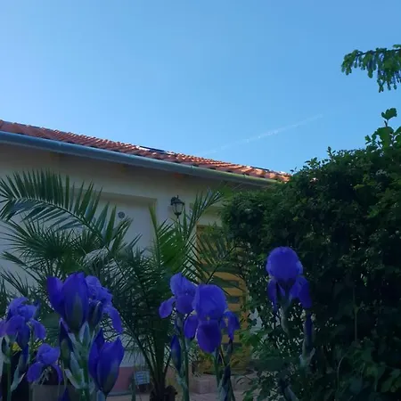 דירה Fuered Deluxe Garden באלאטונפורד