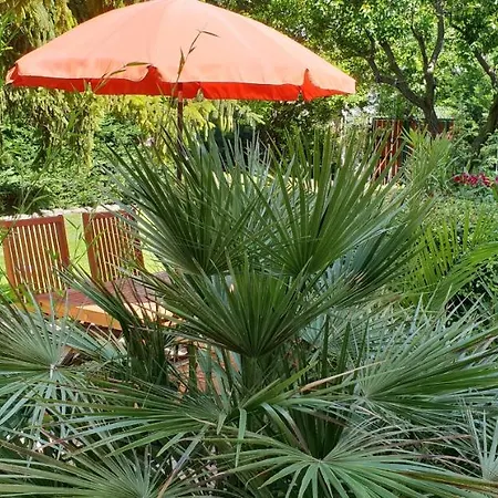 Fuered Deluxe Garden Apartment