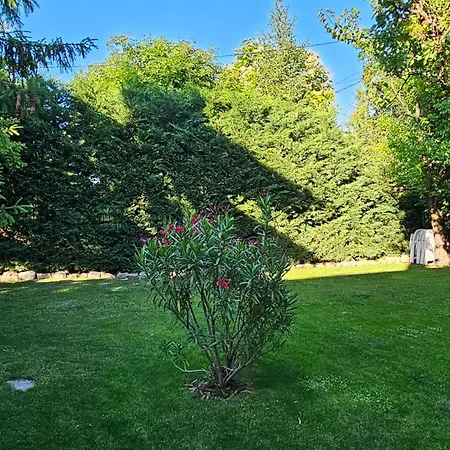 Fuered Deluxe Garden Apartment