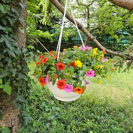 Fuered Deluxe Garden Διαμέρισμα Balatonfüred
