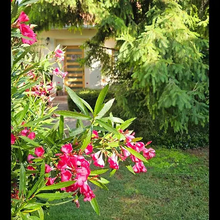 Fuered Deluxe Garden Apartment