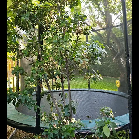 Apartment Fuered Deluxe Garden *
