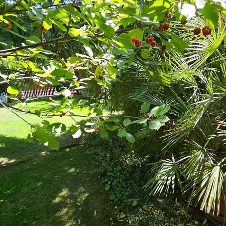 Διαμέρισμα Fuered Deluxe Garden
