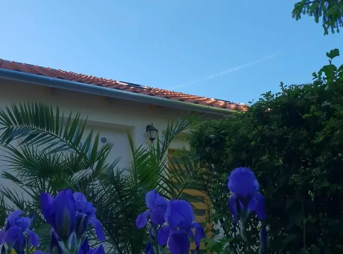 公寓 Fuered Deluxe Garden 巴拉顿菲赖德