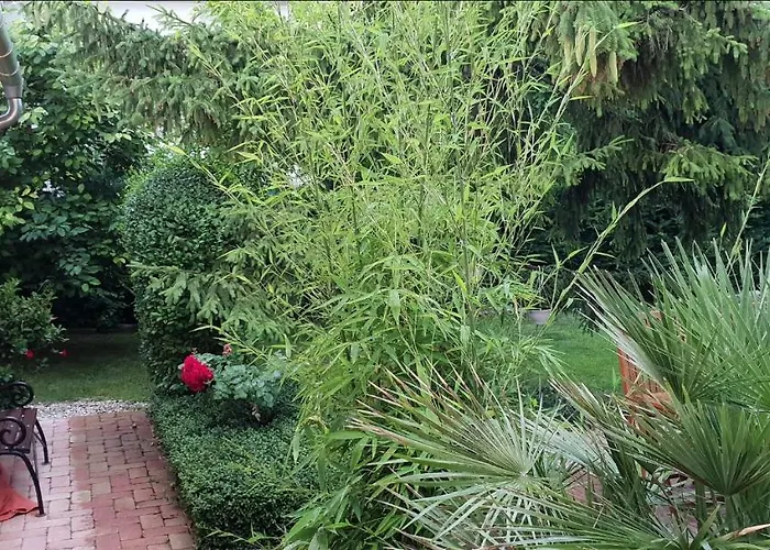 Fuered Deluxe Garden 巴拉顿菲赖德