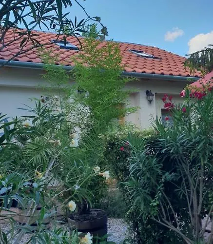 Fuered Deluxe Garden 巴拉顿菲赖德