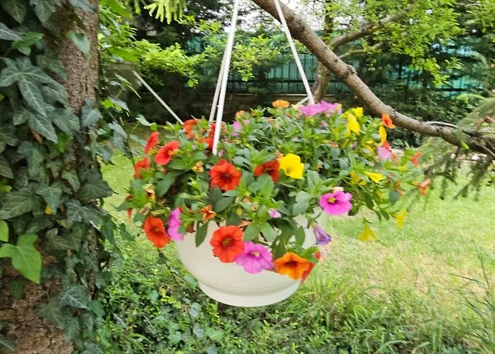 Fuered Deluxe Garden 公寓 巴拉顿菲赖德